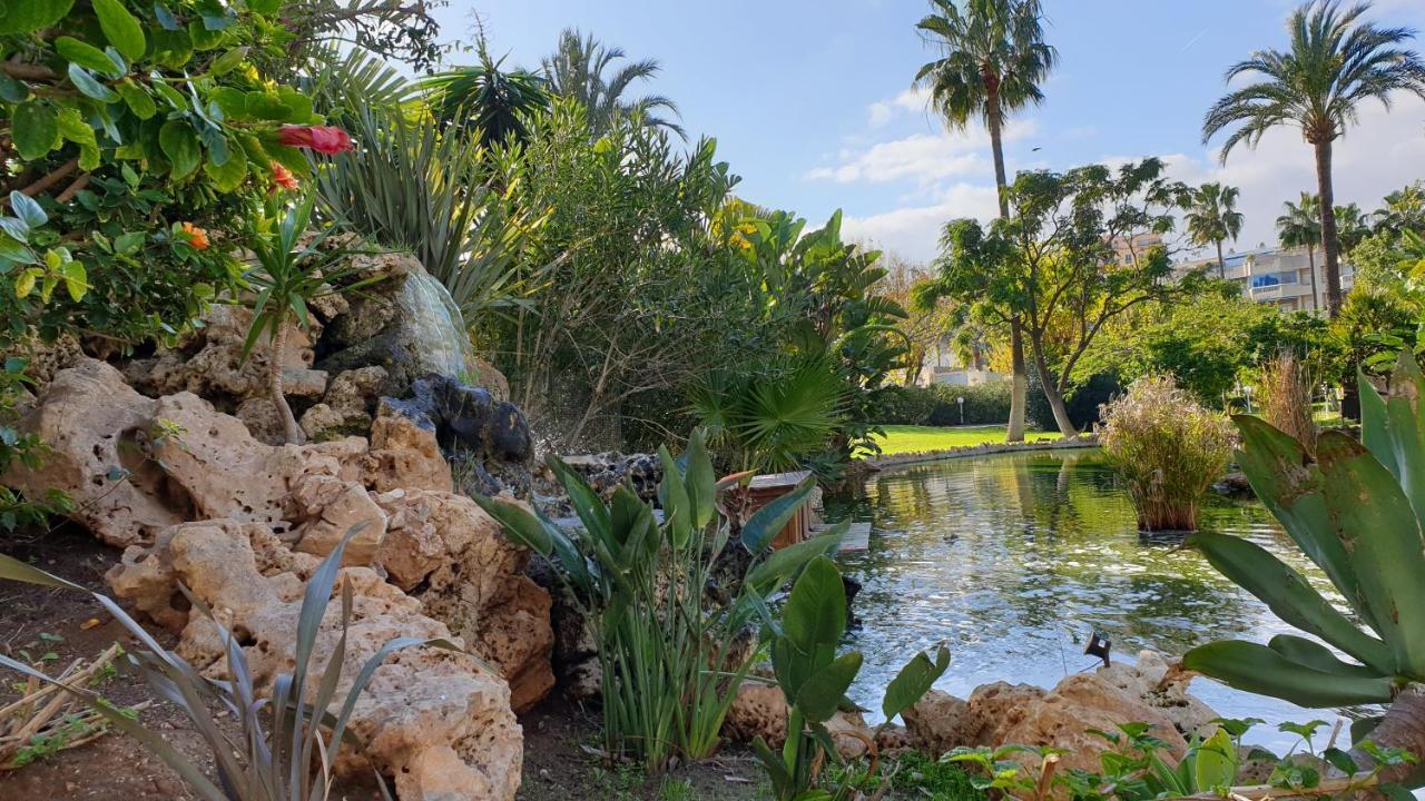 Golf Coast Alamos, Primera Linea De Playa Appartamento